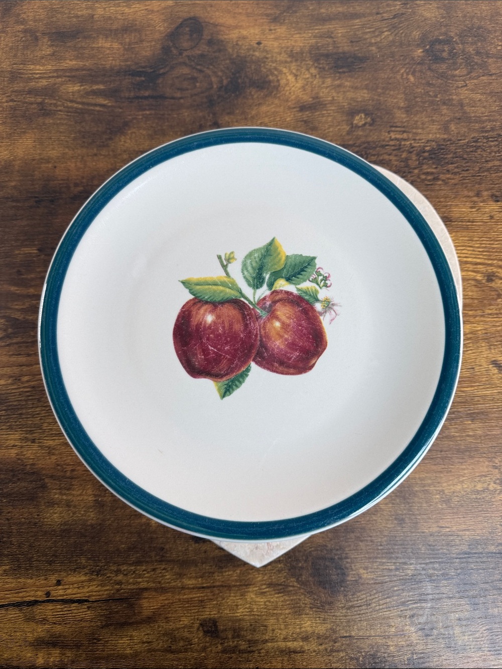 White Ceramic Dinner Plate with Teal Rim and Red Apple Motif Set Of 3